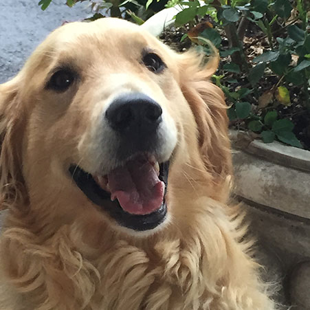 ＨＯＴＥＬ　ＨＯＬＩＳＴＩＣ　ＲＥＳＯＲＴ「マリー」