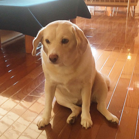 那須黒磯温泉　かんすい苑　覚楽「ナナ」