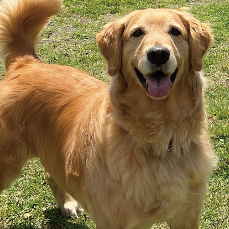 那須温泉　ホテルエピナール那須「こなす」