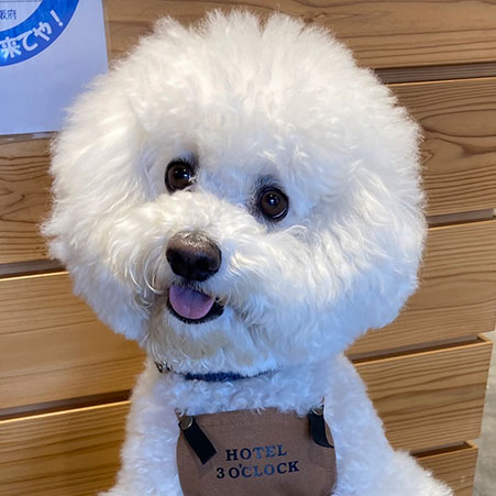 ＨＯＴＥＬ　３Ｏ’ＣＬＯＣＫ　ＴＥＮＮＯＪＩ「オレオ店長」