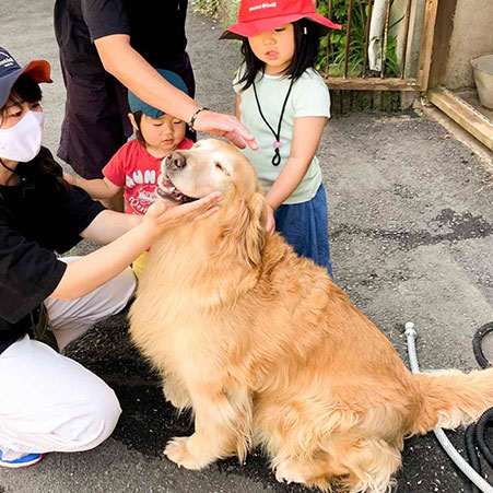 水上温泉　ペンション　朝ねぼう「クイーン」