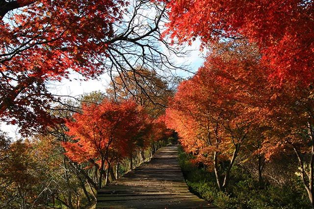 伊豆パノラマパーク