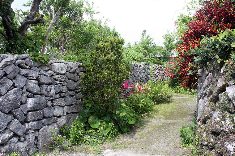阿伝集落　サンゴの石垣