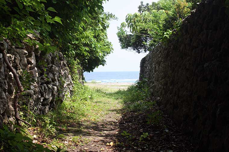 阿伝集落　サンゴの石垣