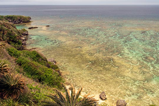 ウミガメビューポイント