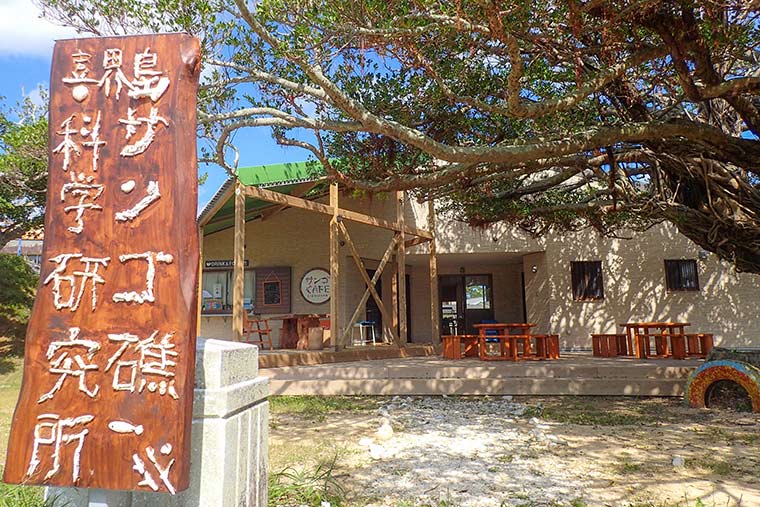 喜界島サンゴ礁科学研究所