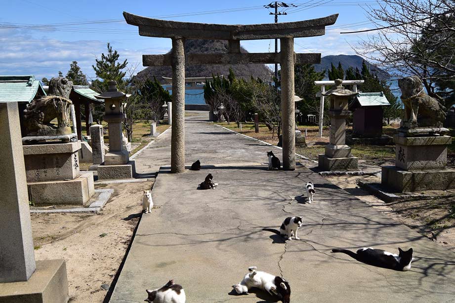 佐柳島(さなぎしま)