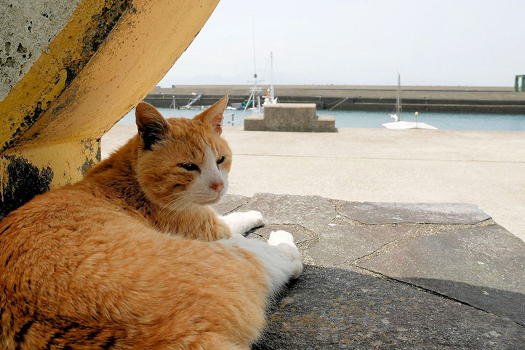 湯島（ゆしま）
