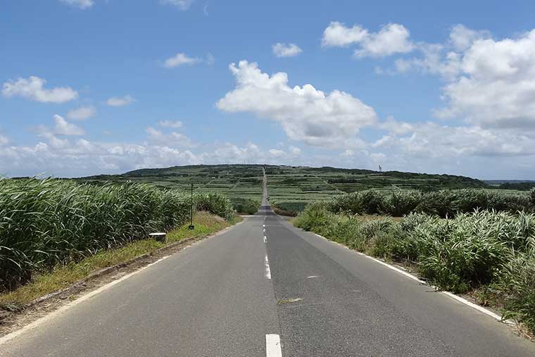 サトウキビ畑の一本道（シュガーロード）