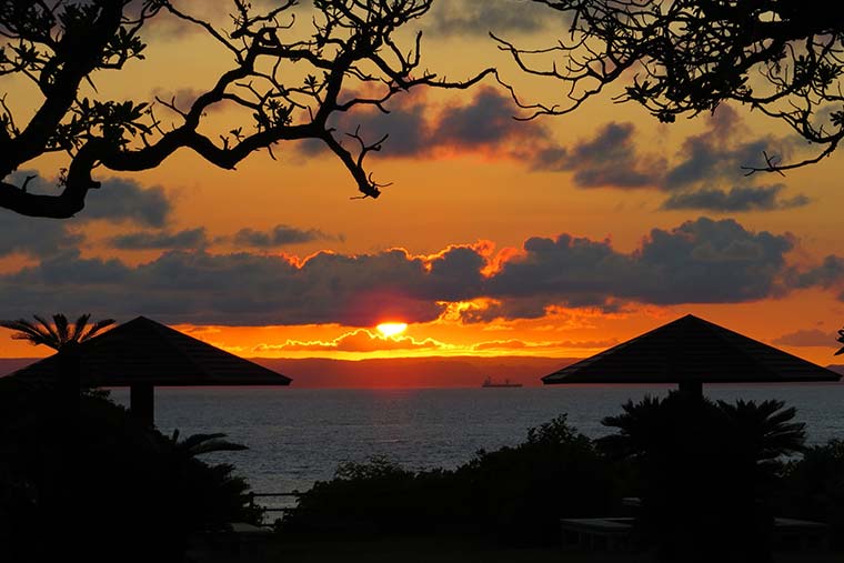 荒木・中里遊歩道