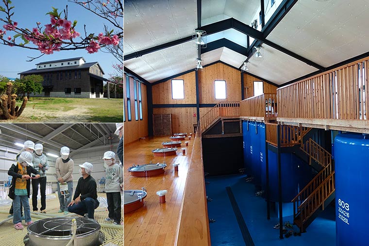 黒糖焼酎工場 朝日酒造