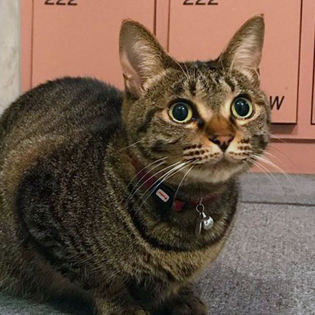 ステーションビジネスホテル天守閣「ちー」