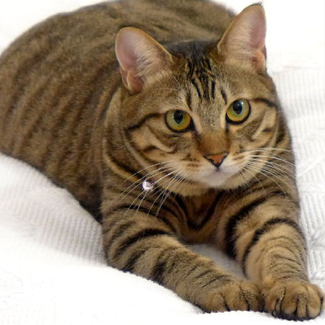 ポルトメゾン・ルームス 「ちーたん」