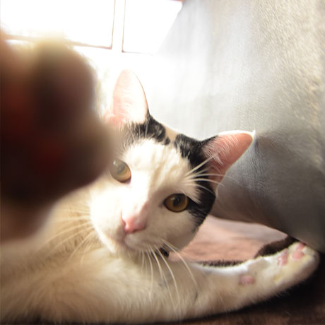 神丘温泉　豊山荘「まーろ（営業部ちょー）」