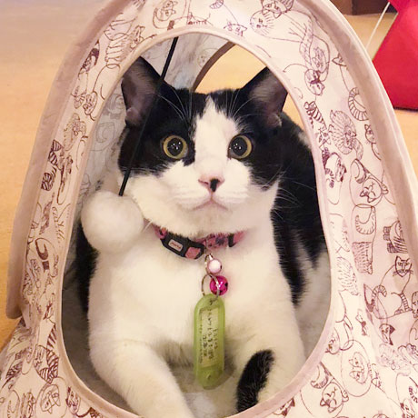 土湯温泉　おもてなしの宿　旅館　松雲閣「むぎ」