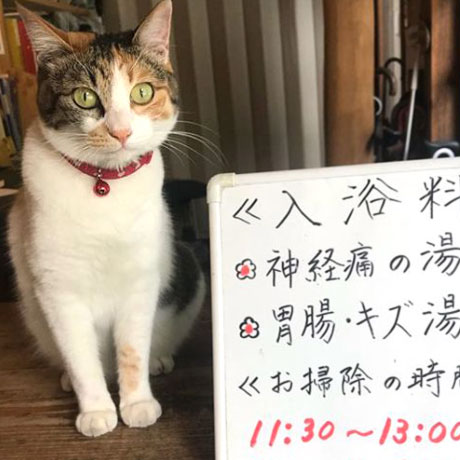 妙見温泉　田島本館「すずめ」