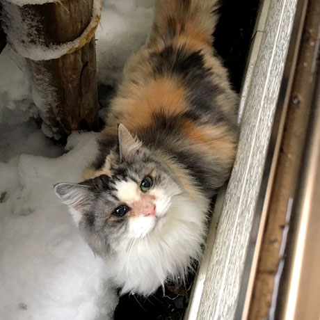 小野川温泉　亀屋万年閣「ふく」