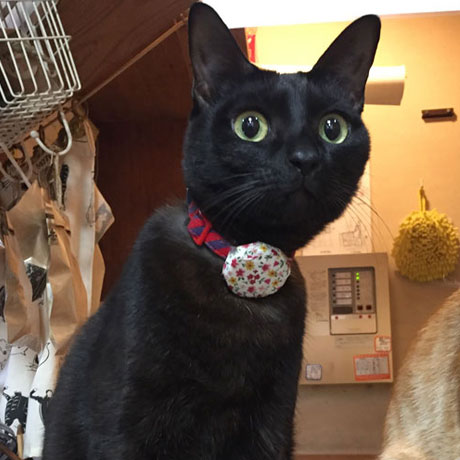 宇佐美温泉　温泉民宿　海風荘「コウ」