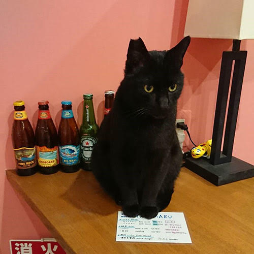 ゲストハウスやどまる「黒王(こくおう)」