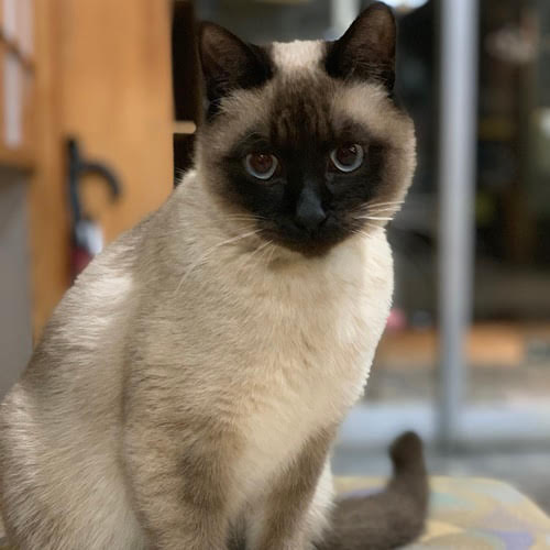 湯田上温泉　なつかしの宿　末廣館「テト」