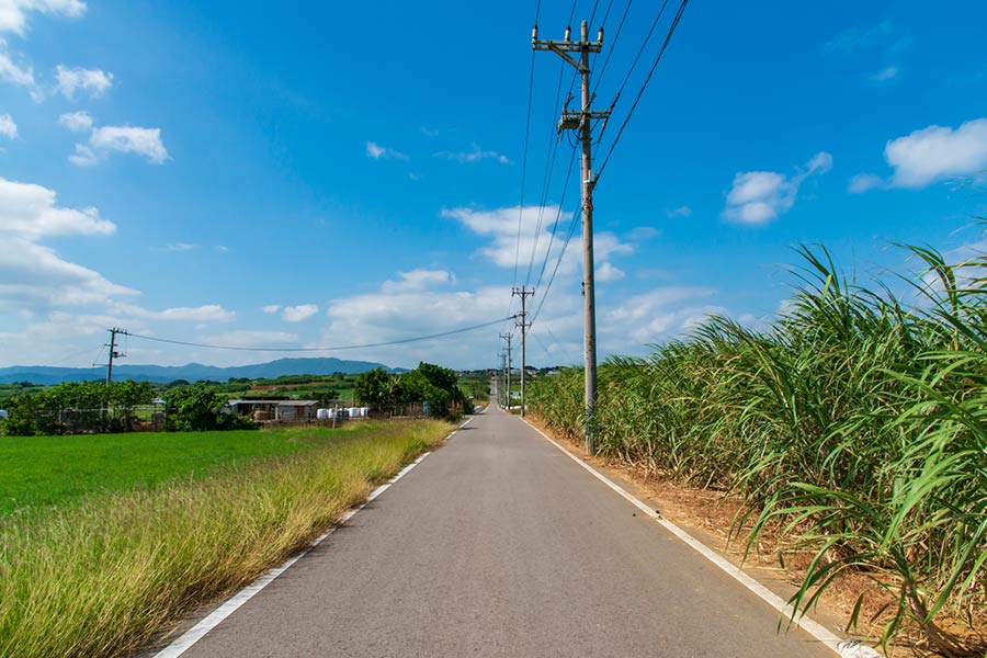 シュガーロード