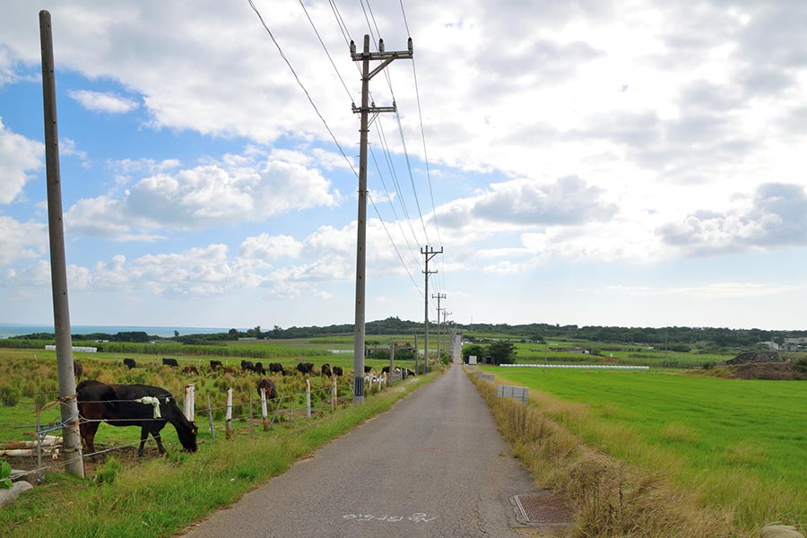 シュガーロード