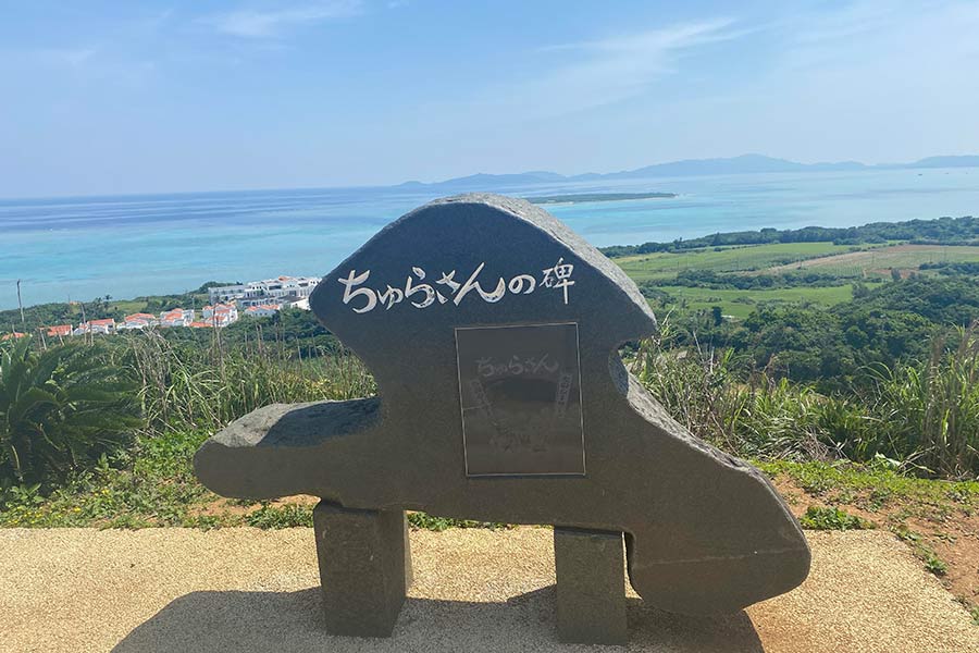 西大岳（にしうふだき）