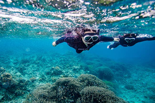 マリンアクティビティ