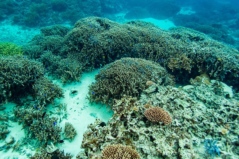 マリンアクティビティ