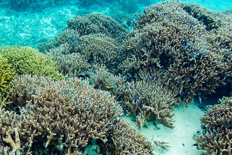 マリンアクティビティ