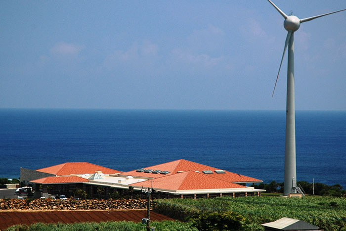 タラソおきのえらぶ