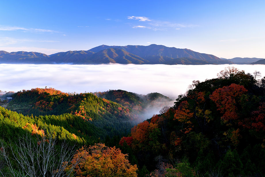 かめおか霧のテラス