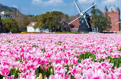 ハウステンボス