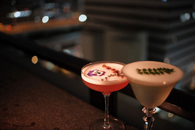 ザ・ライブリー大阪本町（ＴＨＥ　ＬＩＶＥＬＹ　大阪本町） 「roof top bar & terrace G」