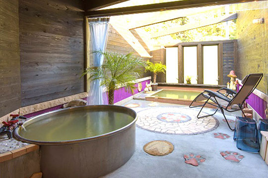 美肌の湯　こしかの温泉