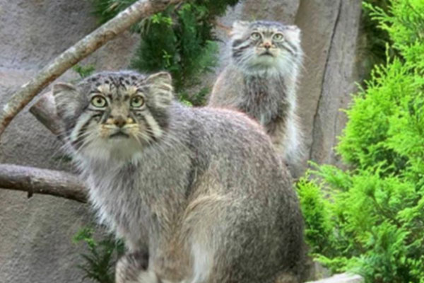 那須どうぶつ王国