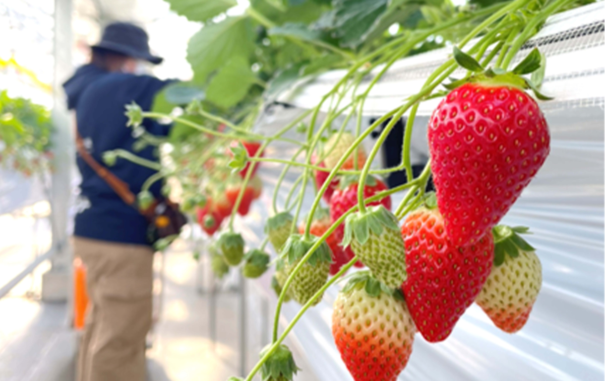 JRフルーツパーク仙台あらはま