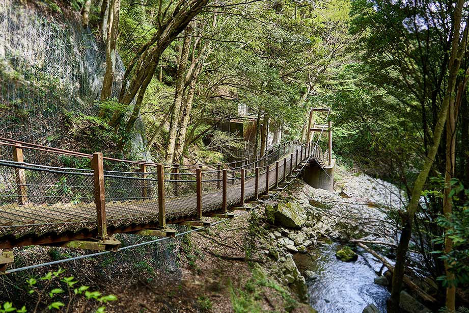 静岡「河津七滝」は滝初心者におすすめ！散歩気分で7つの滝を巡ろう