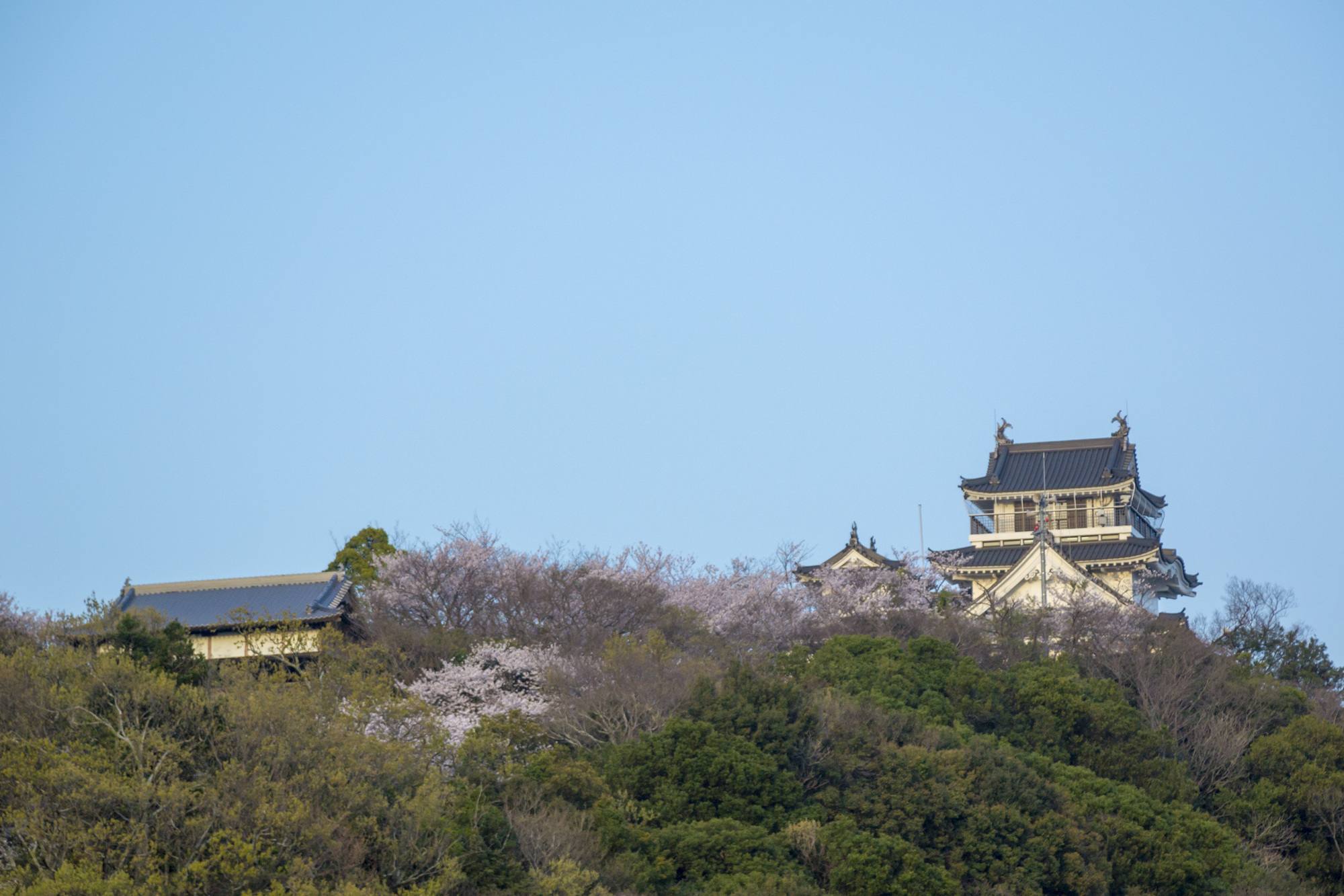 伊丹山公園花見俯瞰