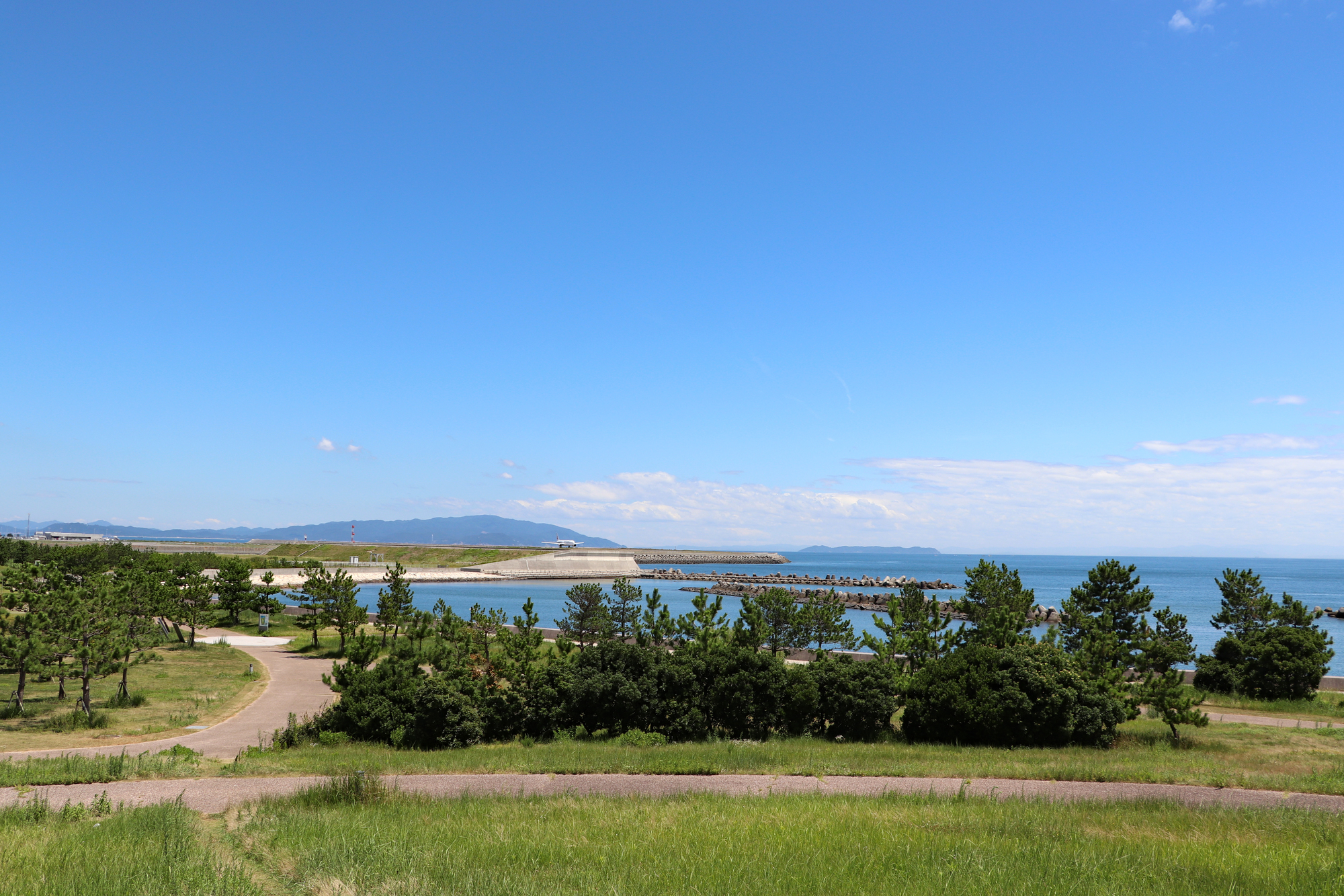 月見ヶ丘海浜公園海の見える丘