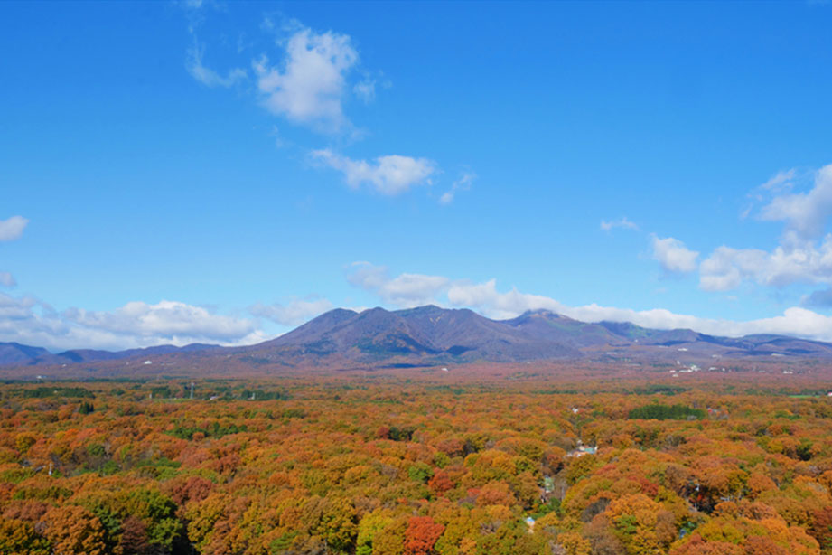 那須温泉 鹿の湯