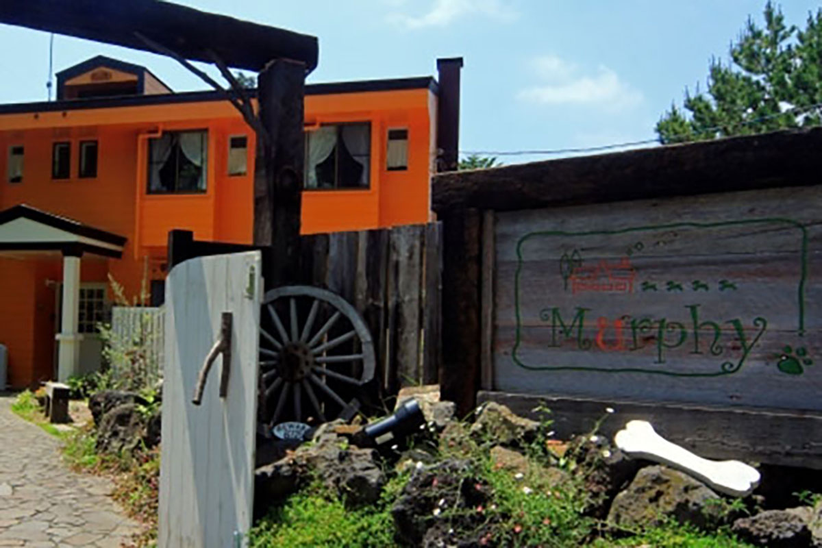 ペットと泊まれる貸切天然温泉の宿　マーフィ