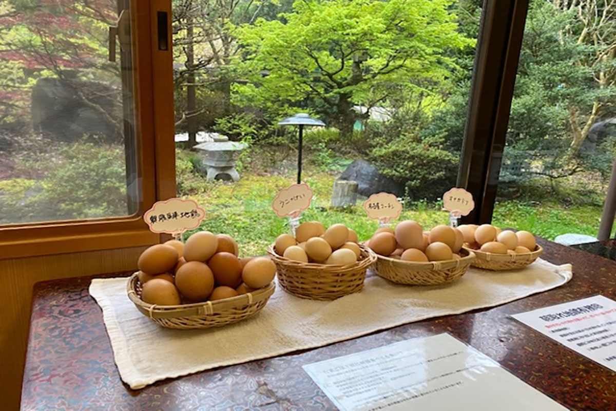 奥飛騨温泉郷　ペットと泊まれる素泊まり温泉宿　こんじ旅館