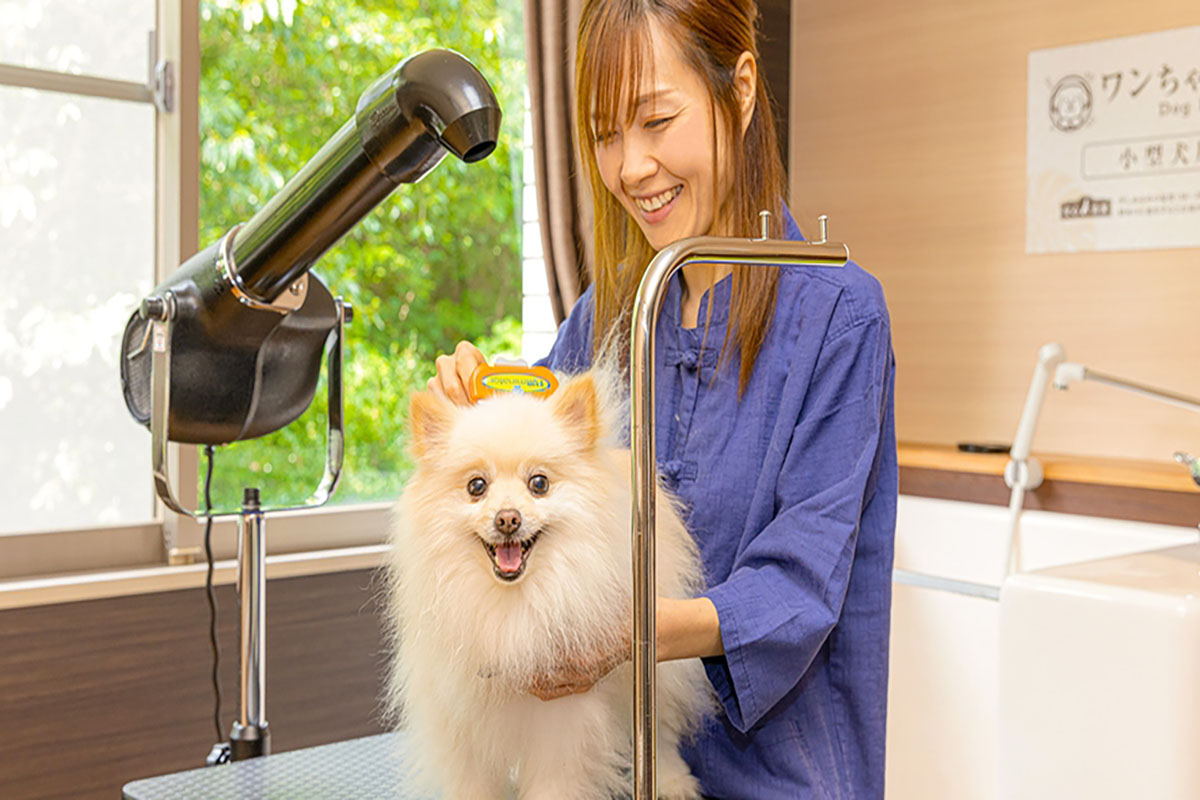 愛犬お宿　伊豆高原