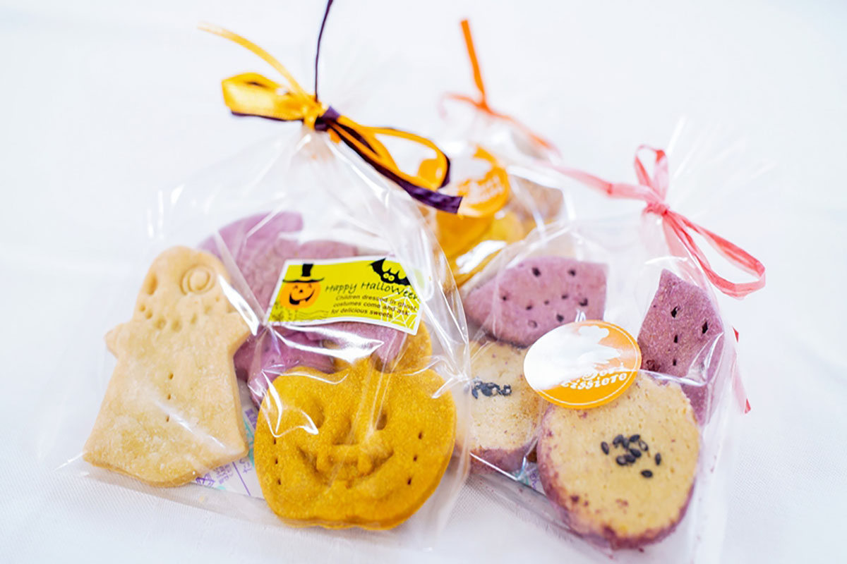 ＤＯＧ　ＳＰＡ　ＲＥＳＯＲＴ　アルトピアーノ