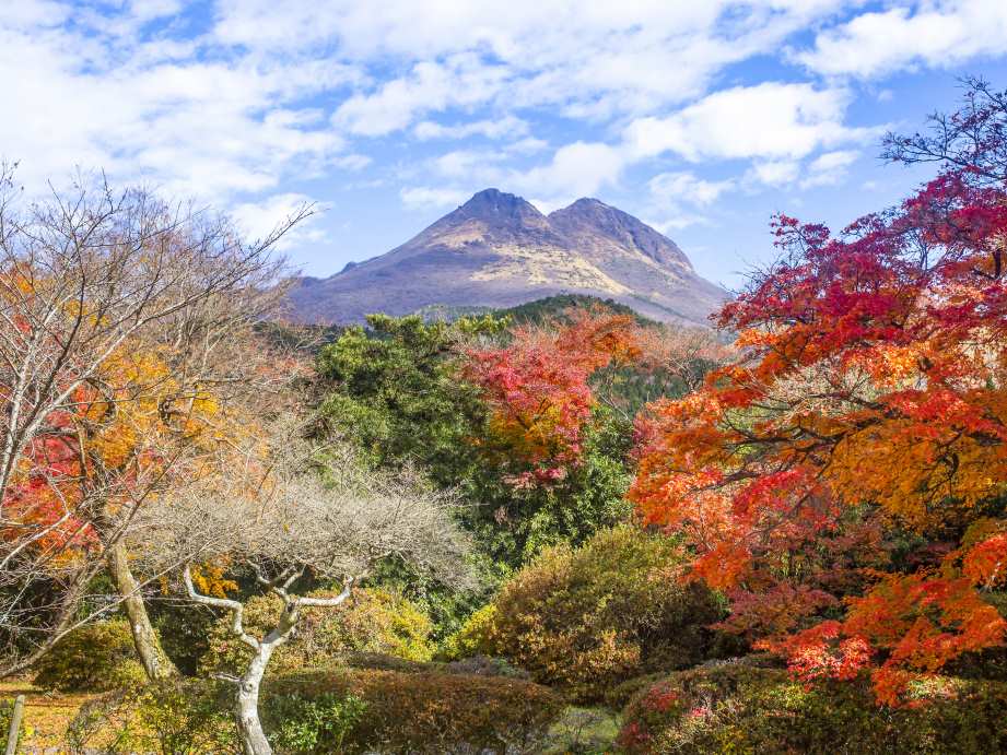 【2023最新】九州のおすすめ紅葉スポット30選