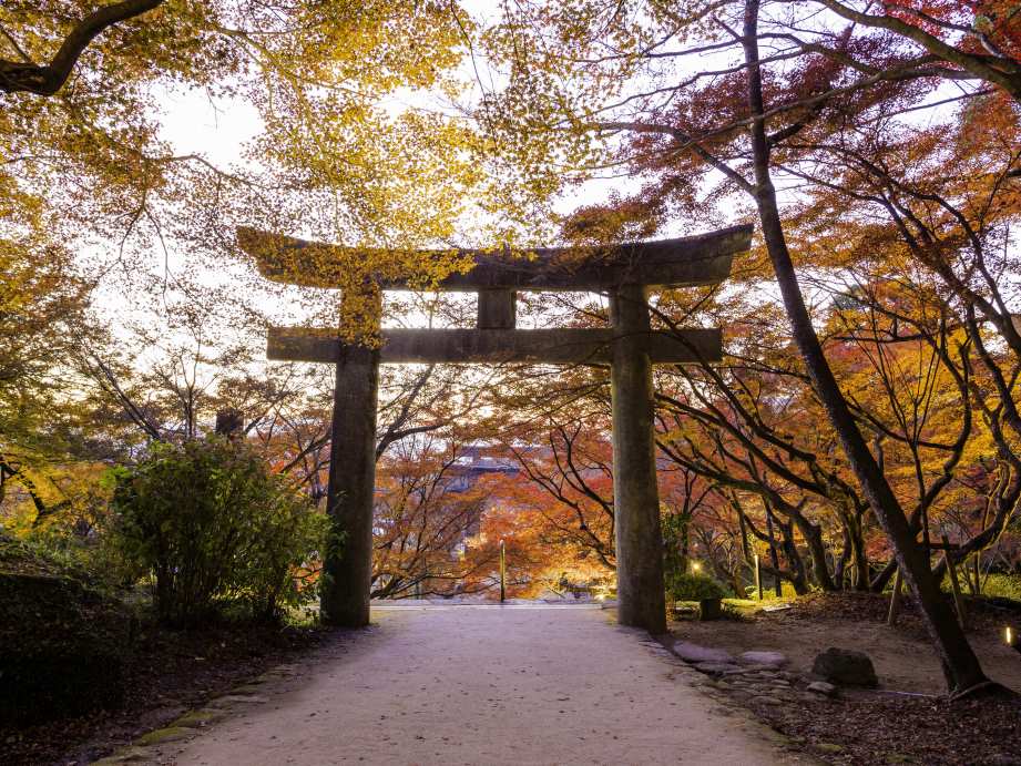 【2023最新】九州のおすすめ紅葉スポット30選