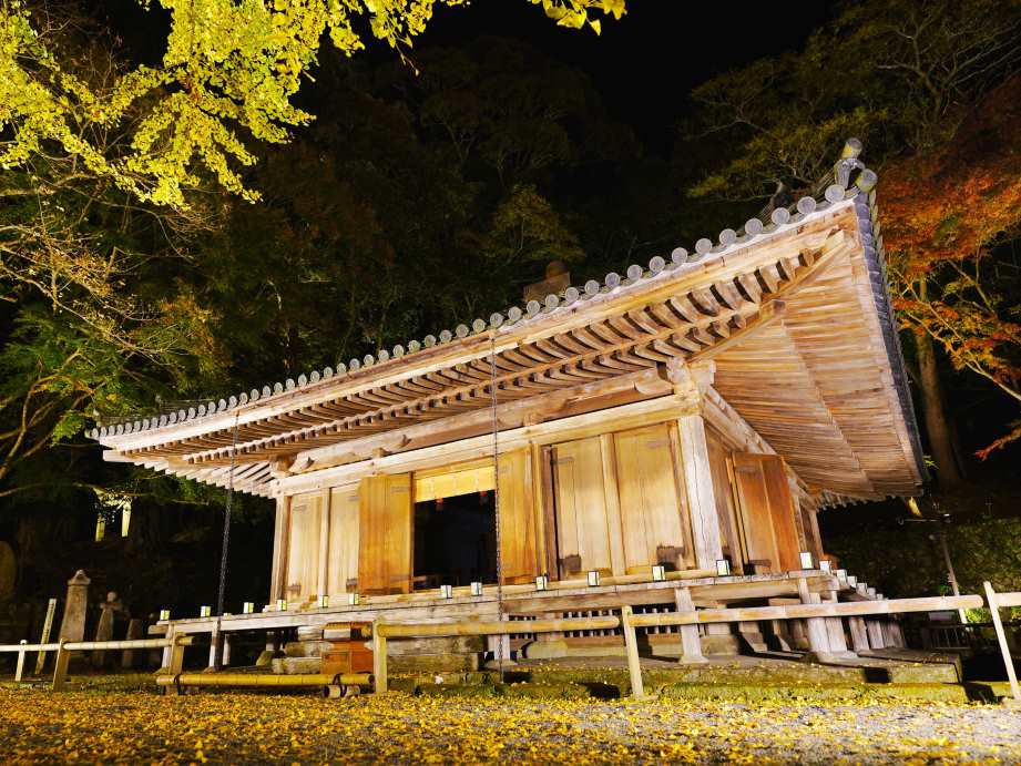 【2023最新】九州のおすすめ紅葉スポット30選