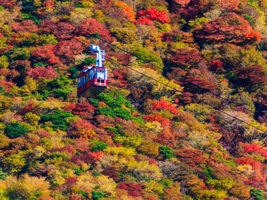 【2023最新】九州のおすすめ紅葉スポット30選