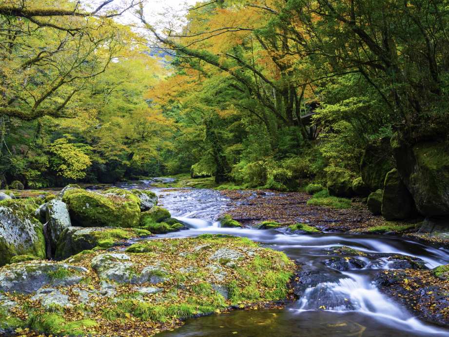 【2023最新】九州のおすすめ紅葉スポット30選